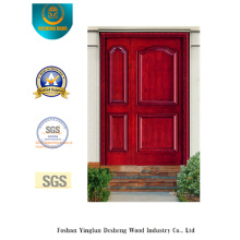 Simplestyle Picture Door for Entrance (s-1021)